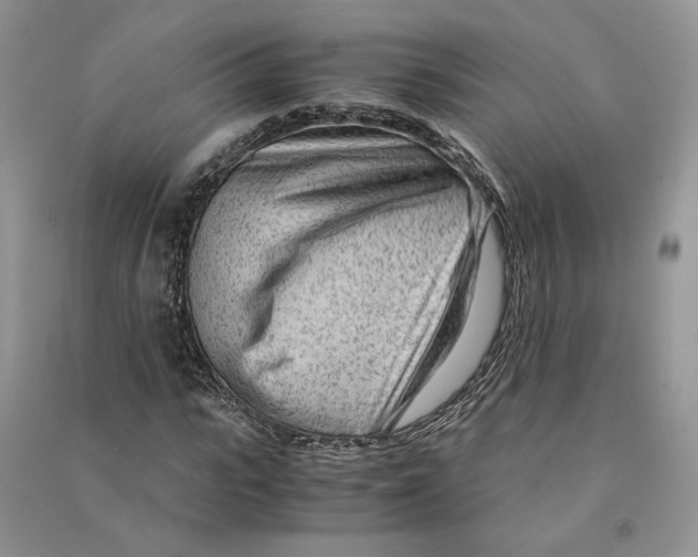 X0000090600919200708141327