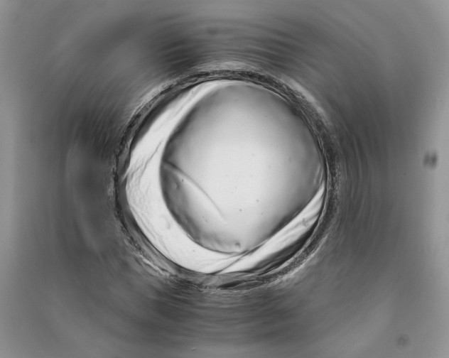 X0000090600921200708141328