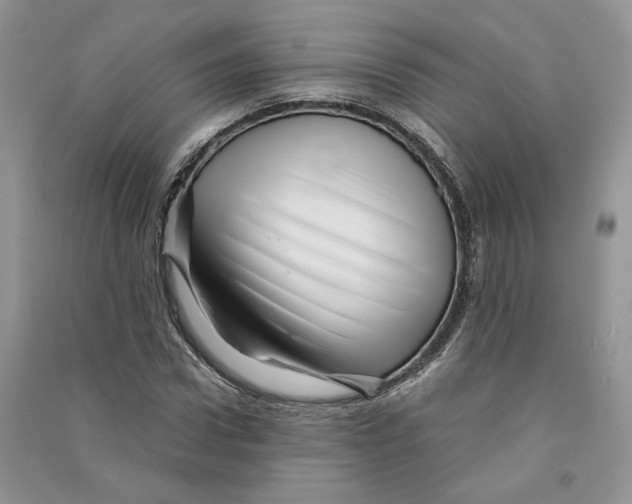 X0000090600922200708141328