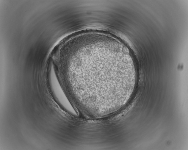 X0000090600923200708141328