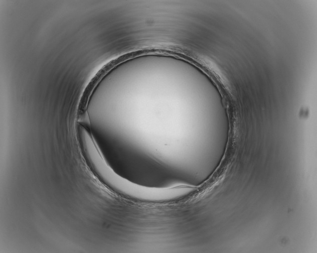 X0000090600924200708141328