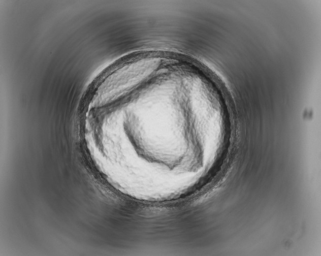 X0000090600925200708141328