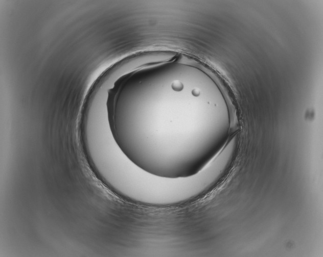 X0000090600928200708141328