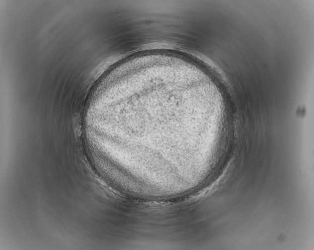 X0000090600929200708141328