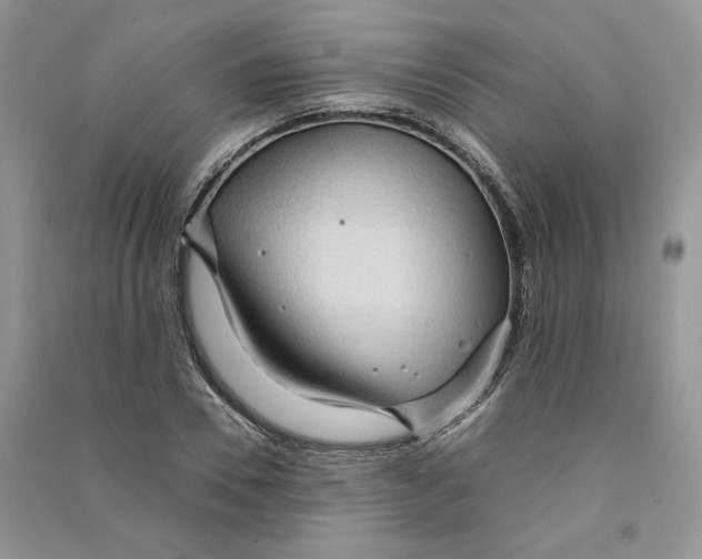 X0000090600930200708141328