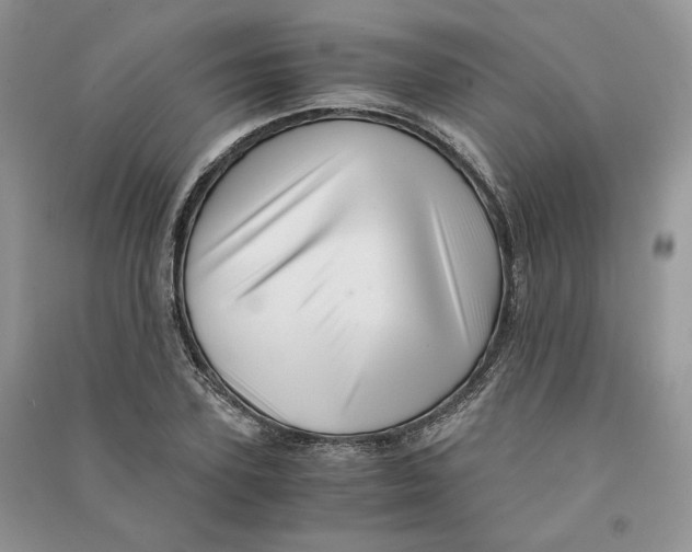 X0000090600931200708141328