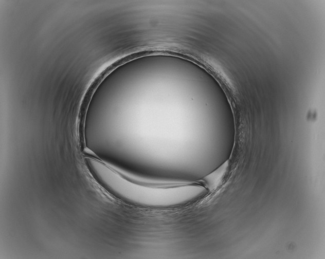 X0000090600932200708141328