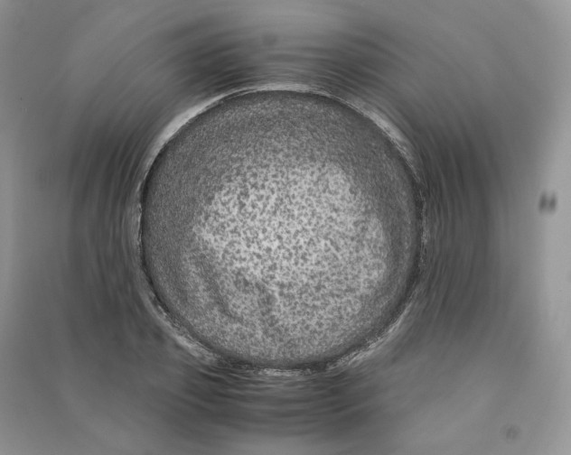 X0000090600933200708141328