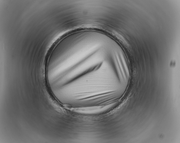 X0000090600934200708141328