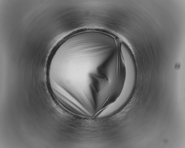 X0000090600935200708141328