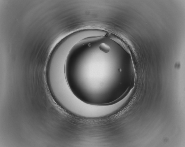 X0000090600936200708141328