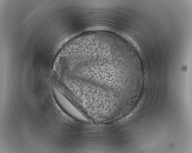 X0000090600937200708141328