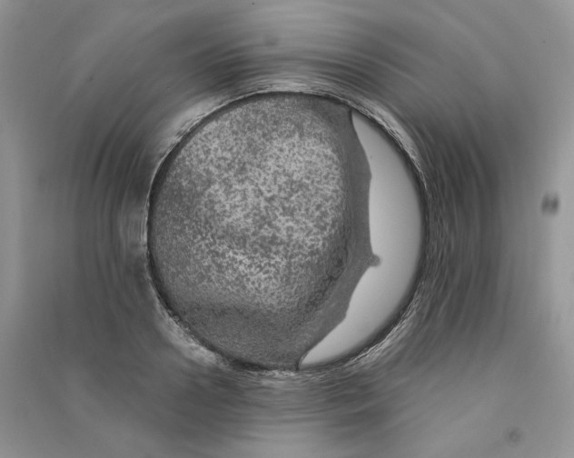 X0000090600938200708141328