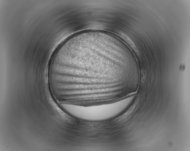 X0000090600939200708141328