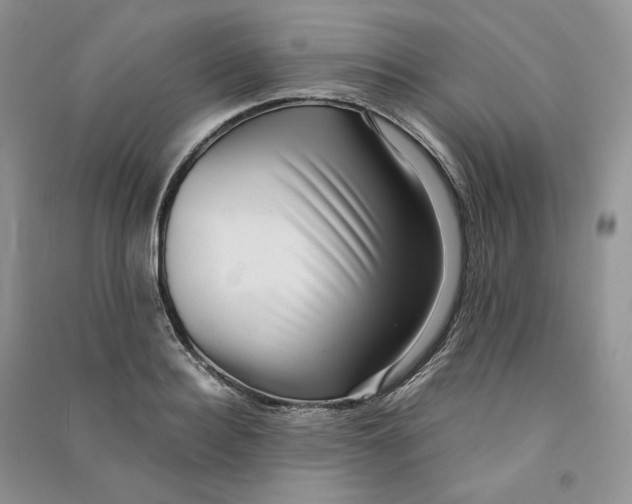 X0000090600940200708141328