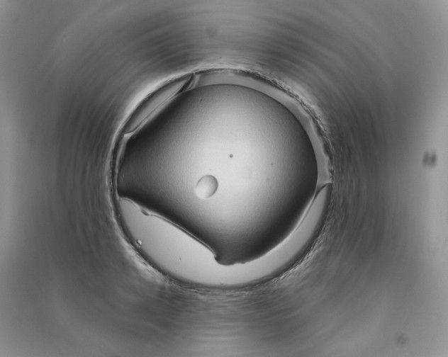 X0000090600942200708141328