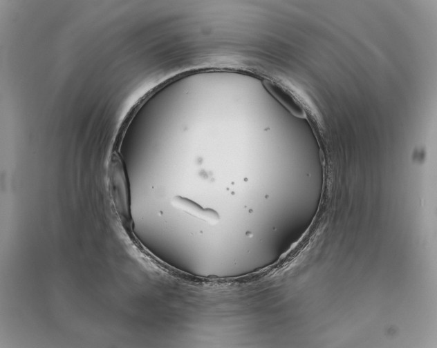 X0000090600944200708141328