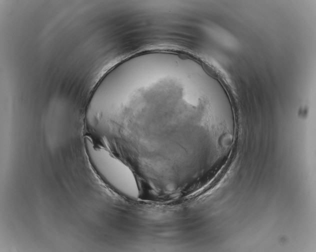 X0000090600945200708141328