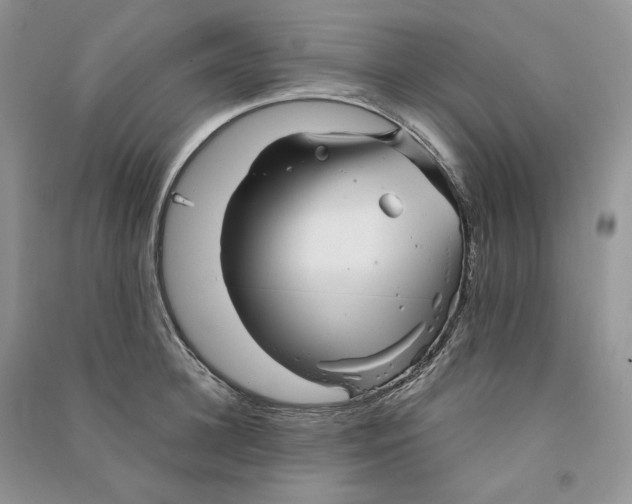 X0000090600948200708141328