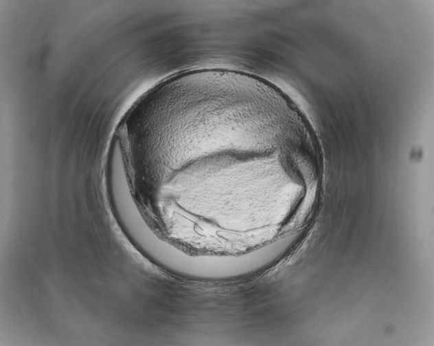 X0000090600949200708141328