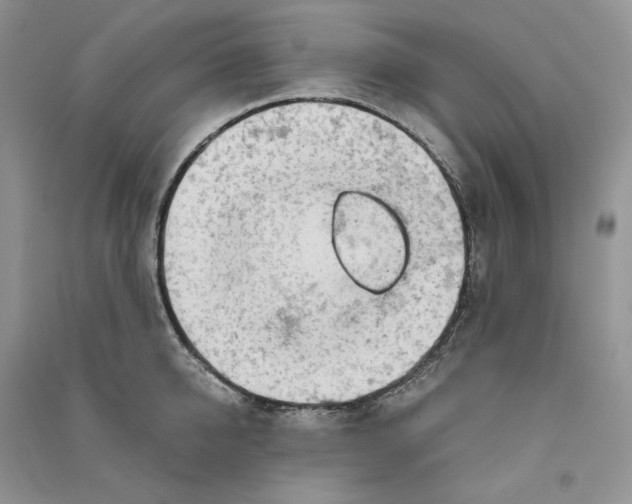 X0000090600950200708141328