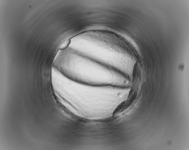 X0000090600953200708141328