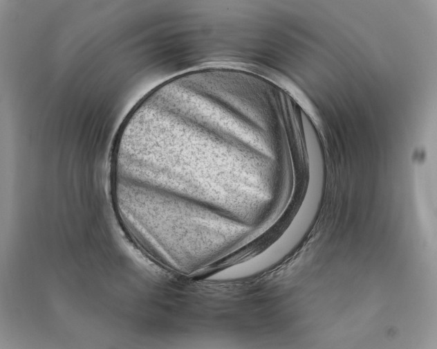 X0000090600955200708141328