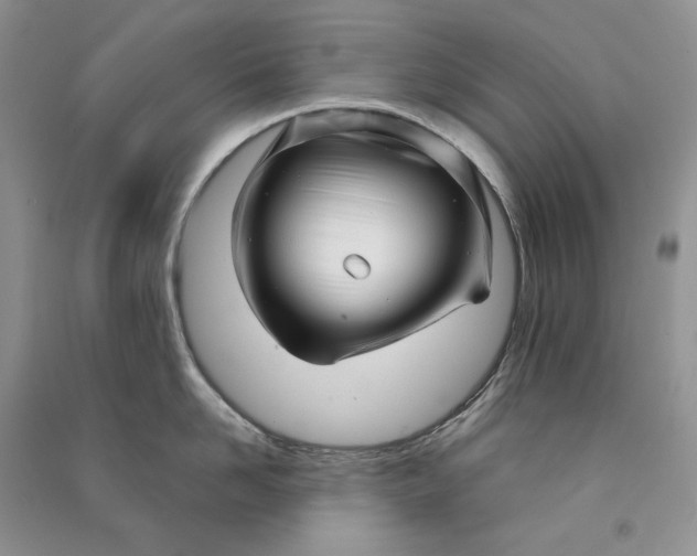 X0000090600958200708141328