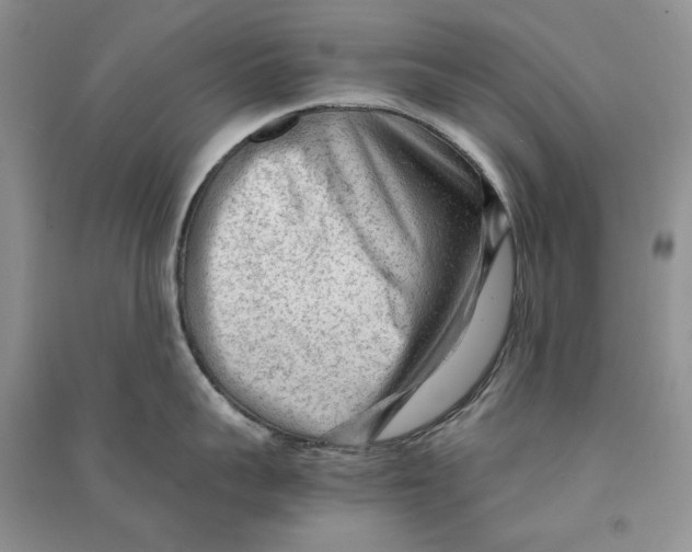 X0000090600959200708141328