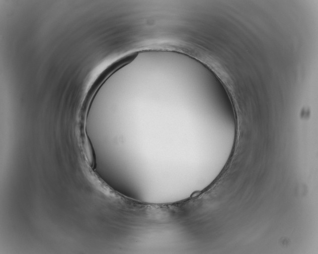 X0000090600960200708141328