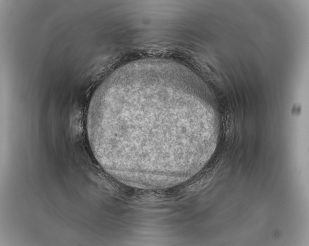 X0000090600962200708141327