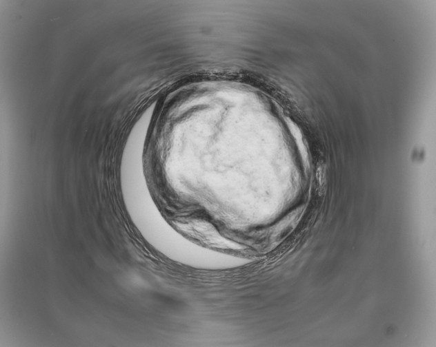 X0000090600963200708141327