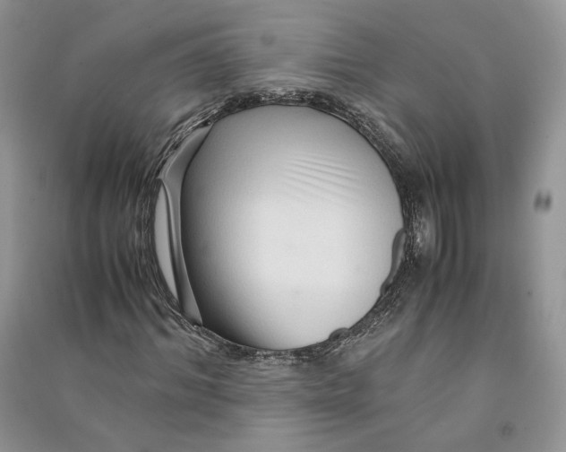 X0000090600964200708141327