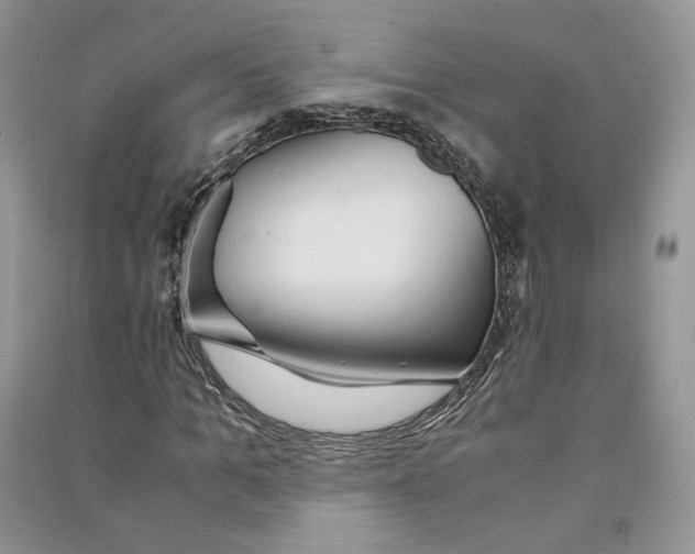 X0000090600965200708141327