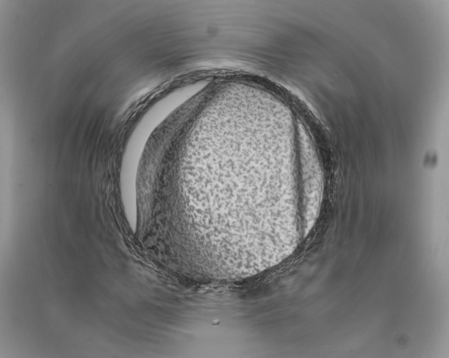 X0000090600967200708141327