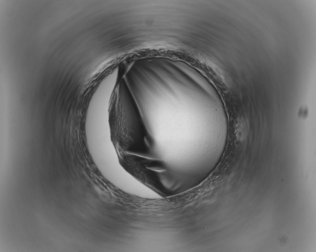 X0000090600968200708141327