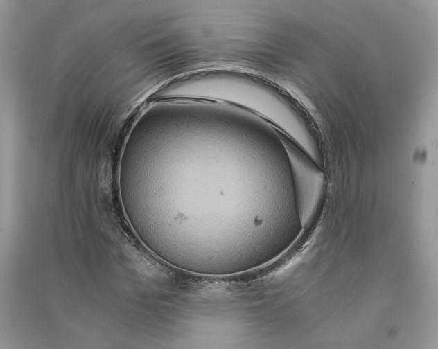 X0000090600969200708141327