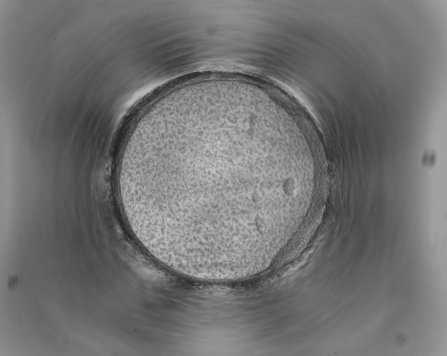 X0000090600971200708141327