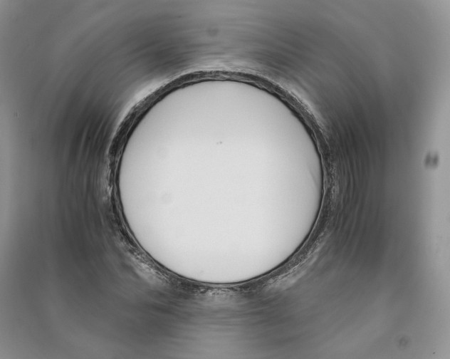 X0000090600974200708141327