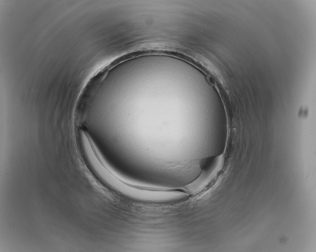 X0000090600981200708141327