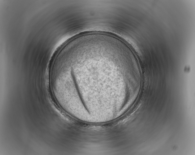 X0000090600982200708141327