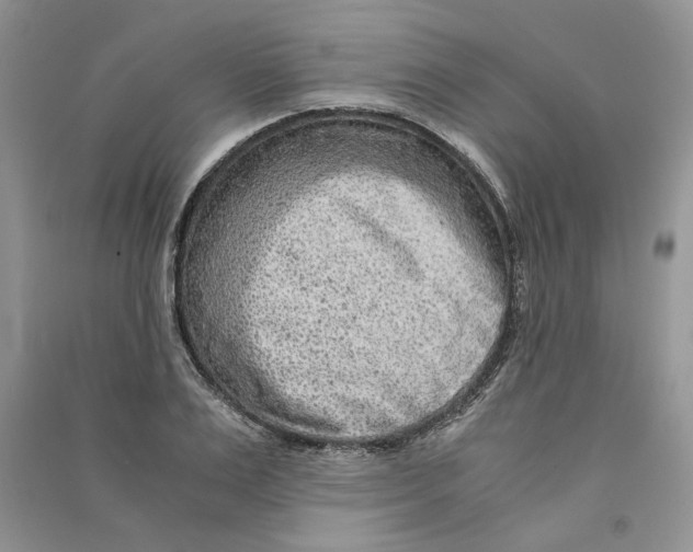 X0000090600983200708141327