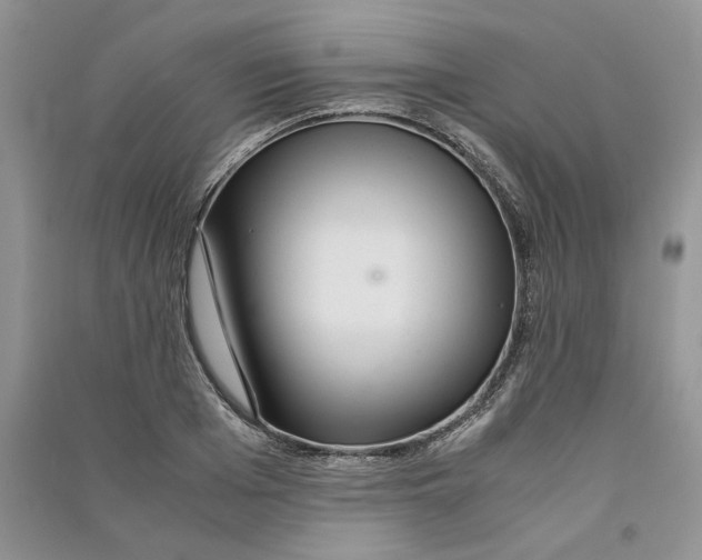 X0000090600985200708141327