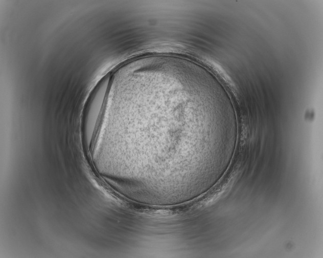 X0000090600986200708141327