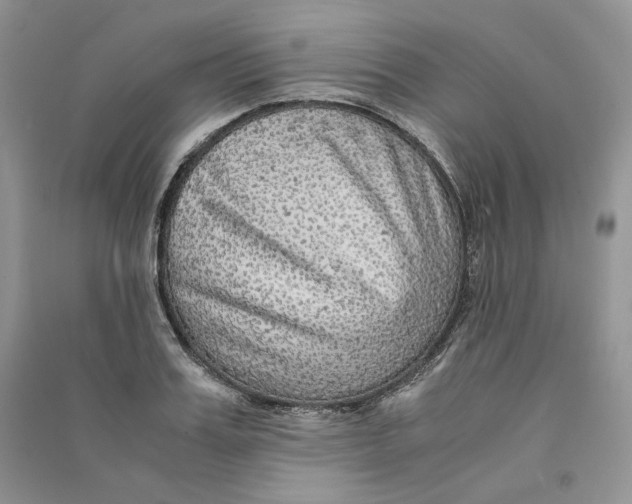 X0000090600987200708141327