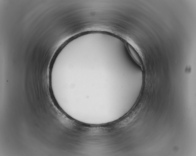 X0000090600988200708141327