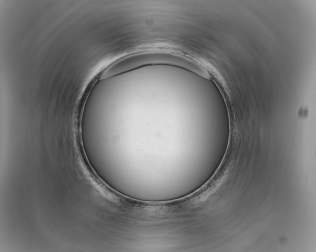 X0000090600989200708141327