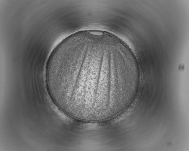 X0000090600990200708141327