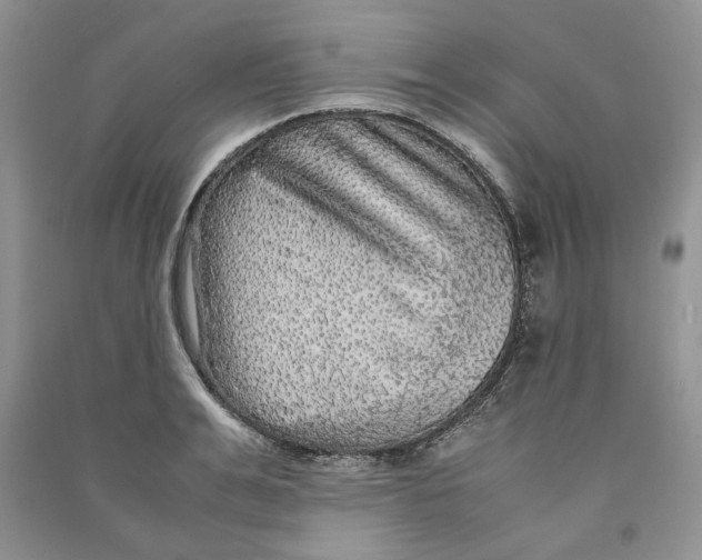 X0000090600991200708141327