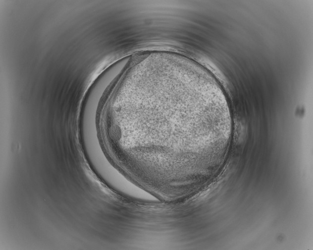 X0000090600994200708141327